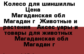 Колесо для шиншиллы › Цена ­ 900 - Магаданская обл., Магадан г. Животные и растения » Аксесcуары и товары для животных   . Магаданская обл.,Магадан г.